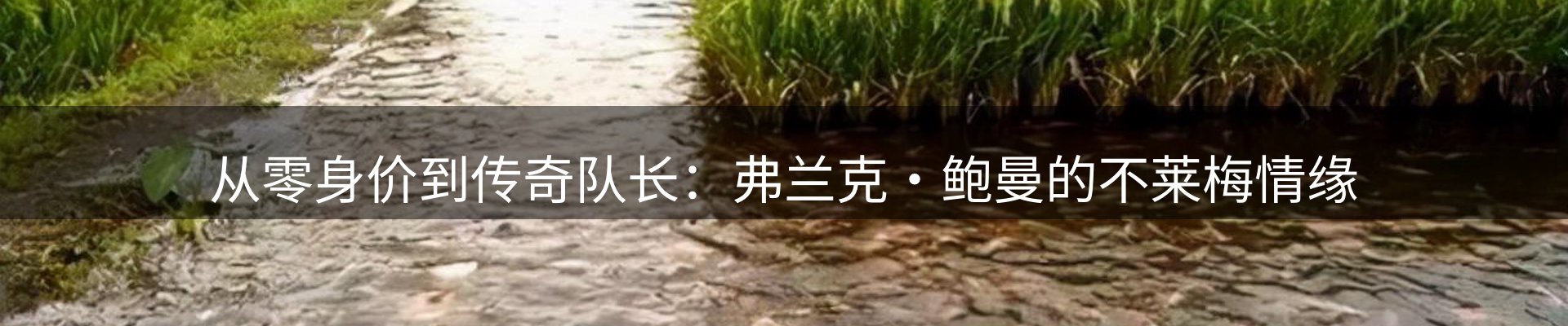 内页banner