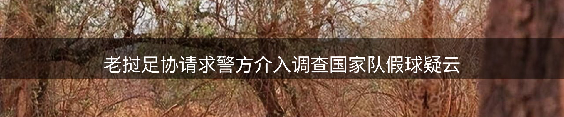内页banner