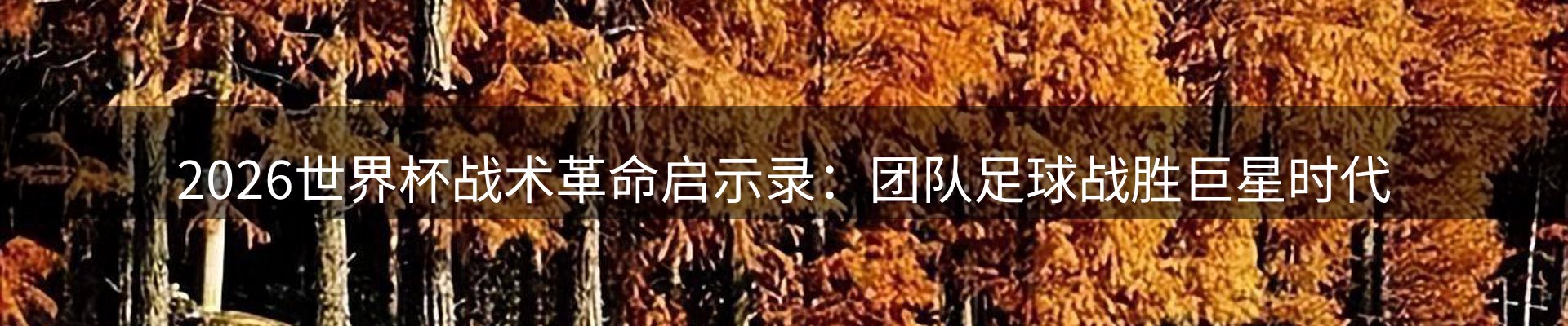 内页banner