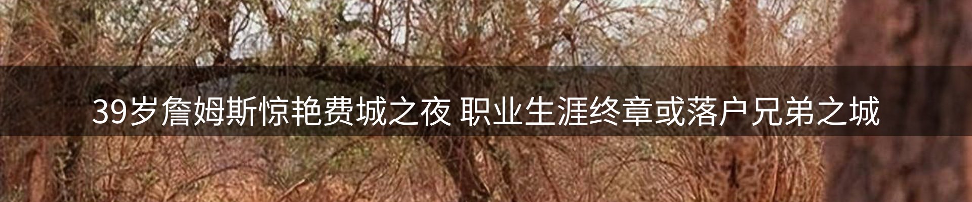内页banner
